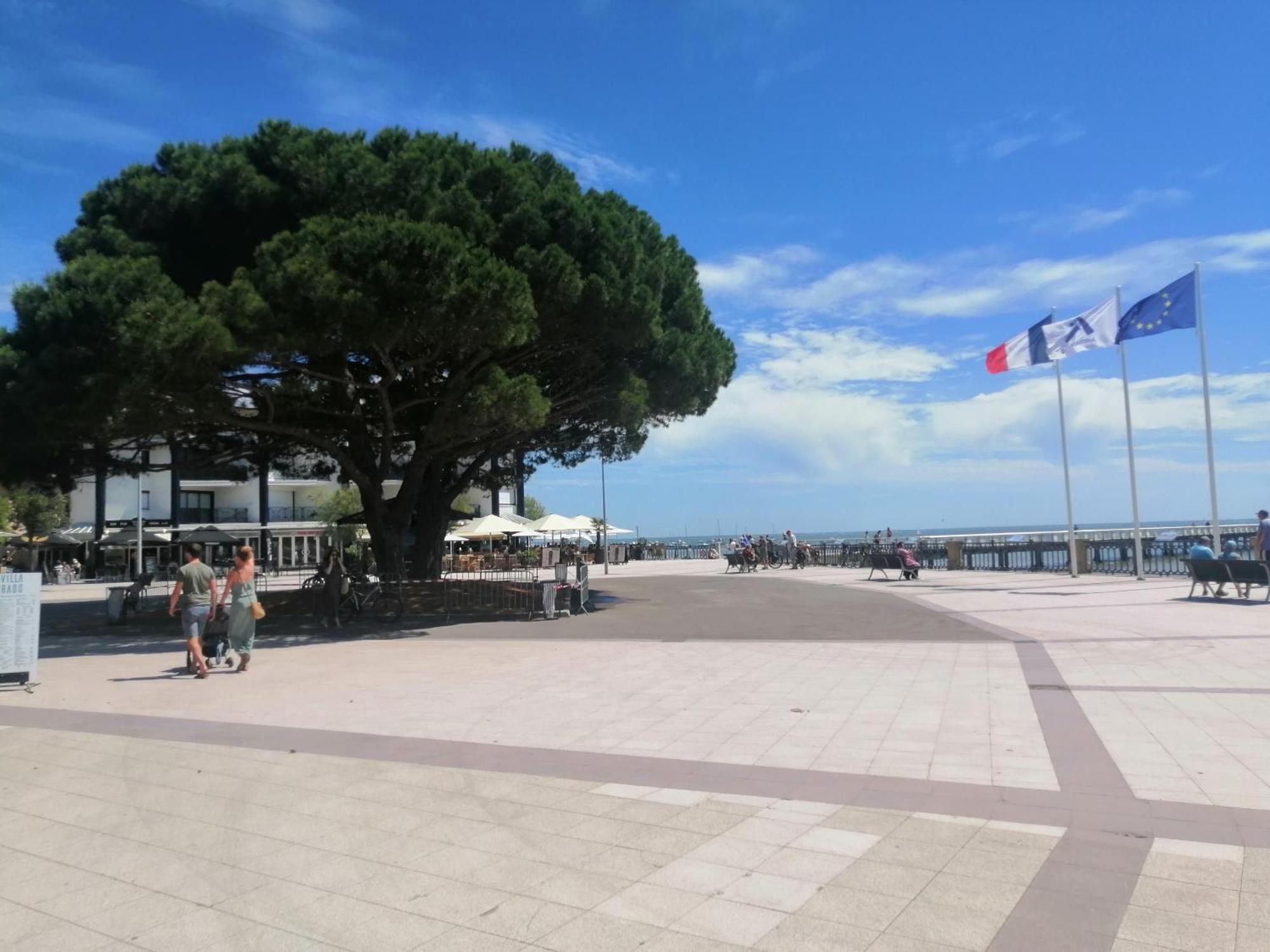 Le Magellan Appartement Terrasse 4 Personnes Plage Et Centre Ville 앙데르노스레방 외부 사진